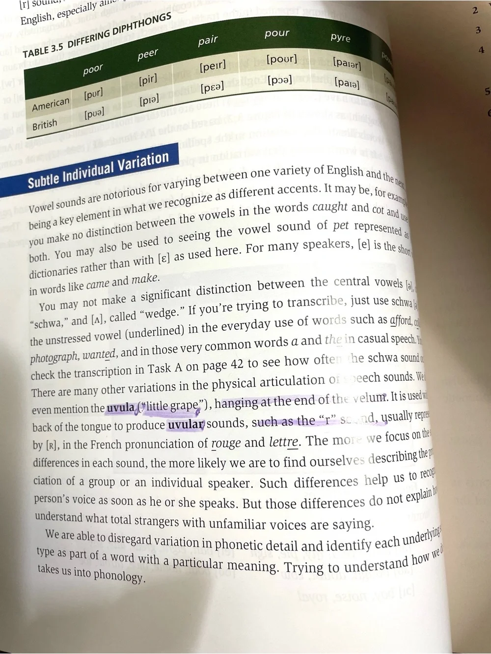 The Study of Language George Yule Eighth Edition Linguistics Textbook Cambridge